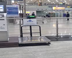 Cheapest way to send excess baggage from India using courier and airport luggage delivery services